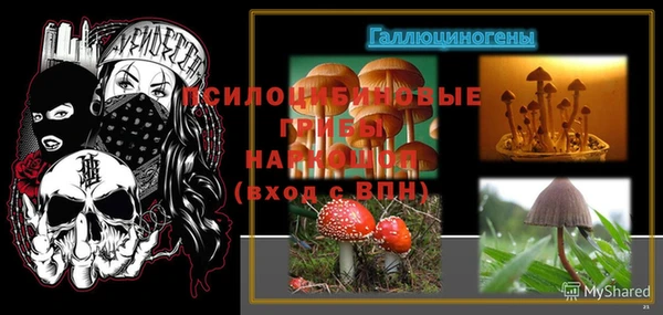 мяу мяу мука Абаза